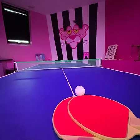 Panthere Rose Jacuzzi, Billard Et Ecran Cinema Épernay